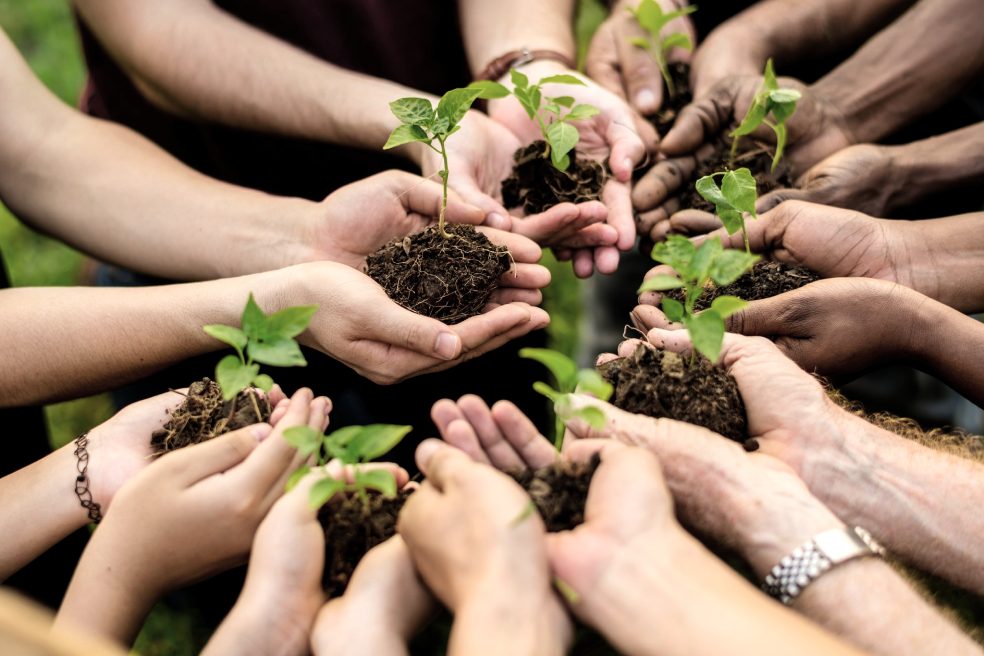 Environmental Ngos In India ShyamPrayaas Foundation